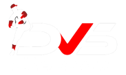 DVS Baseball